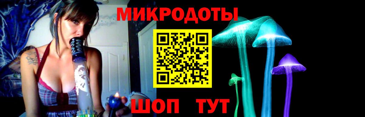 Галлюциногенные грибы Psilocybine cubensis  Вход с VPN  Галлюциногенные грибы Psilocybine cubensis  Куйбышев 